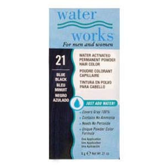 Water Works Waterworks Powder Hair Color #21 Blue Black (Pack of 4)