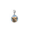 Border Terrier Pup codey2 Dome on a Sterling Silver 925 Trigger Clasp 925 hoop charm