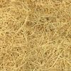 Champion Essick Compatible Evaporative Swamp Cooler Replacement Aspen Pad 3-Set