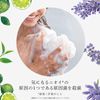 [Amazon.co.jp Exclusive] Muse Soap Botanical Green Tea 1 Pack x 4 Solid Soap + Bonus