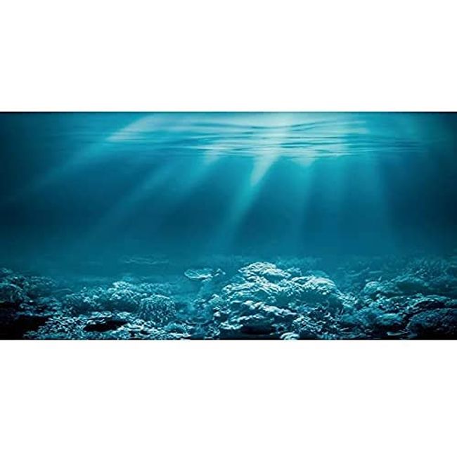 AWERT 30x18 inches Undersea Theme Aquarium Background Sunshine Underwater World Fish Tank Background Durable Polyester Background