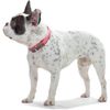 Hunter - Comfort Collar 32-40 cm Convenience pink