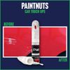 PaintNuts Colour Matched Car Touch Up Paint Pen By Registration