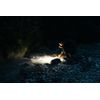 Olight Baton 4 Premium White Rechargeable Flashlight w/Charging Case, 1300 Lum