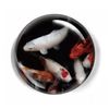 LWAY Paperweight 80mm Crystal Dome (CARP)