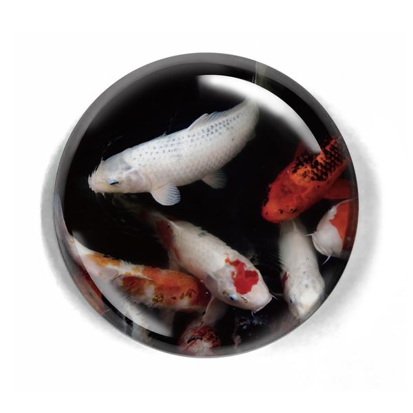 LWAY Paperweight 80mm Crystal Dome (CARP)