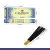 Encens Camphre - 20 grs - Hem (French Edition)