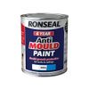 Anti Mould Paint White Matt 750ml