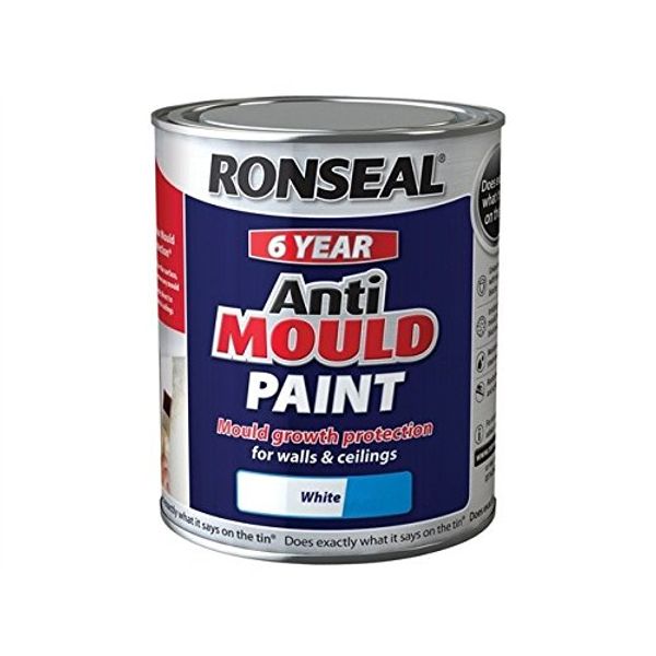 Anti Mould Paint White Matt 750ml