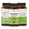Astragalus, Supports Immune System, Protects Diseases, Prevents Cold