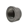 Thrifco 9118081 1/4 Black Cap