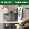 Raykush Art CIF Cream Cleaner With Ammonium 500mL