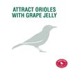253 Oriole Jelly Wild Bird Feeder Red