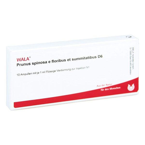 Prunus Spinosa E Floribus et Summitatibus D 6 AMP 10 ML Ampoules
