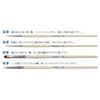 GodHand GH-BRSP-SN-SET Paint Brush, Plastic Model Tool, White