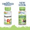 Solaray Mangosteen Fruit 475mg | 100ct