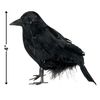 amscan International ltd 247201 Feathered Raven Decoration Set, Small