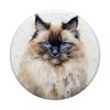Himalaya PopSockets mit austauschbarem PopGrip