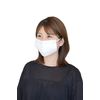 TRUSCO DPM-DM95 Daily Mask (Ear-hook Type), 3-Layer (50 Sheets)