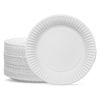 G4GADGET 30 Paper Plates - 9inch Disposable Party Plates
