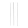 Hydro Flask Replacement Straws 3 Count (Pack of 1)