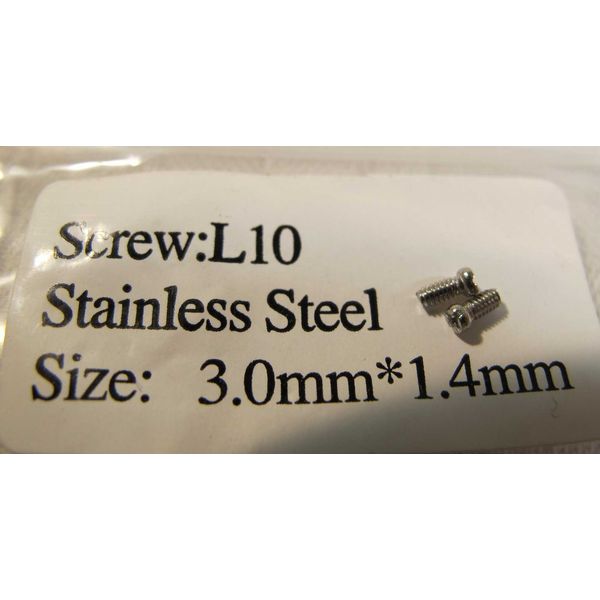 100 Eyewear Glasses SS Eye-wire Screws L-10