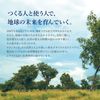 ロクシタン(L'OCCITANE) シア リキッドハンドソープ 300mL