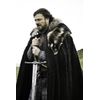 Game of Thrones: The Complete First Season [Blu-ray]