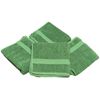 2 Pack Beach Pool Spa Towels Solid Hunter Green 100% Cotton 24" x 50"