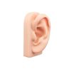 16G Titanium Internally Threaded Floral CZ Tragus Labret Lip Ear Helix Stud