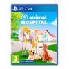 Animal Hospital (PS4)