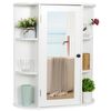 Bathroom Cabinet Wall Mount Medicine Cabinet with Single Mirror Door Adjustable 