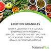 Natures Plus Lecithin Granules - 95% Soy Phosphatides, 12 oz - Lecithin Powder Supplement, Pleasant-Tasting, Oil-Free - Vegetarian, Gluten-Free - 45 Servings