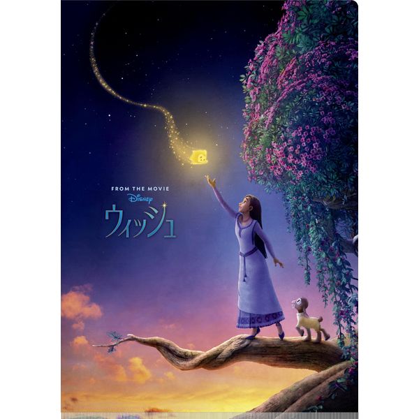 Wish/W Pocket Clear File IG4270