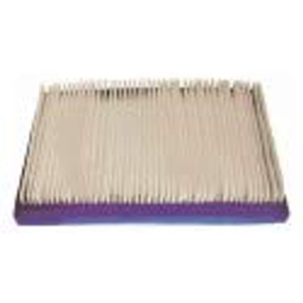 Briggs & Stratton Air Filter