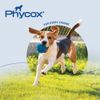 Phycox MAX Joint Supplement Small Bites for Dogs 120 ct
