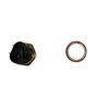 CRP Automotive Rein ELC0049P Temperature Sensor