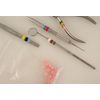 Pink Color Coding Band 50-pack Dental Instruments Identification Silicone O-Ring