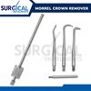 Set Morrel Crown Remover Dental Surgical Instruments Stainless German Grade