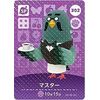 Animal Crossing Amiibo Card Vol. 4 [302] Master SP