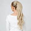 Stranded Wand Wave Ponytail Clipped In (1 Black Magic)