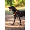 Rogz Snake Harness Reflective, Orange