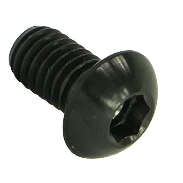 F26 Titan M6 ISO 7380 Rounded Head Screw (Black, 10 mm)
