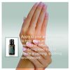 doTERRA Balance Essential Oil Grounding Blend - 15 ml