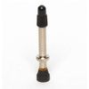Stan's NoTubes Universal Presta Valve Stem - Brass - Silver - 44mm