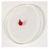 Gelli Arts 4-Inch Round Plate