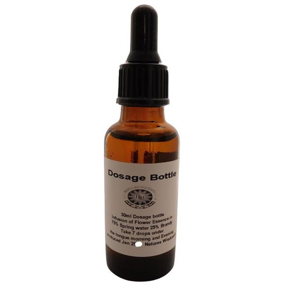 Southern Cross Using Australian Bush Flower essence 30ml Dosage