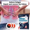 Herbal Kidney Detox Patch 4PC Renal Function Support Natural Formula Fatigue Pad