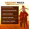 MySuperfoods Organic Maca Root Powder 500g