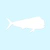 Mahi Mahi Dolphin - Vinyl Decal Sticker - 9" x 3.75" - White
